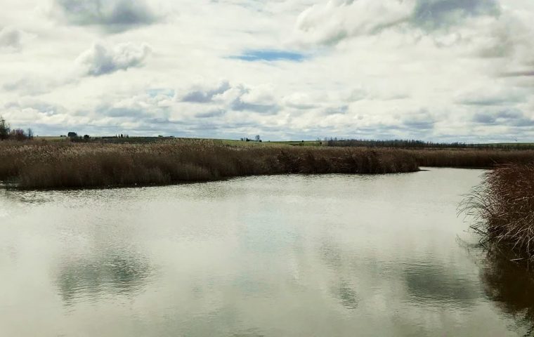 Fin de semana en las Tablas de Daimiel
