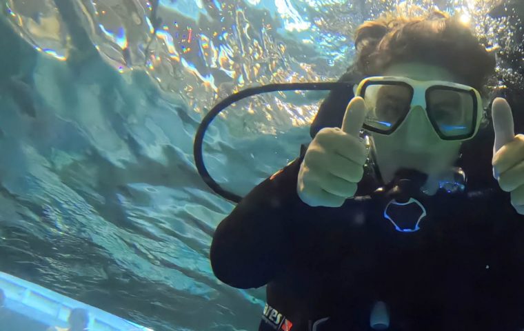 BUCEO_FUNDACION_TAMBIEN