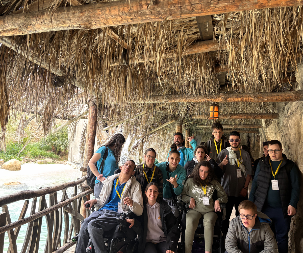 TOLEDO_OCIO_ADAPTADO