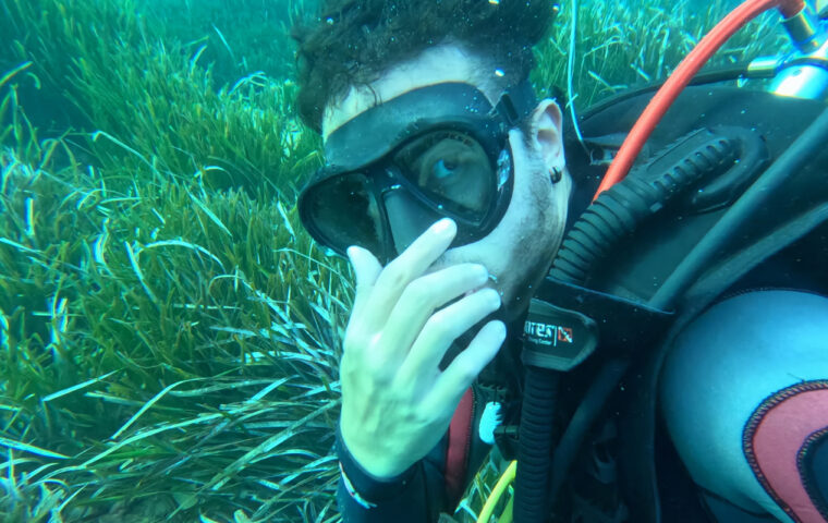 BUCEO_ADAPTADO
